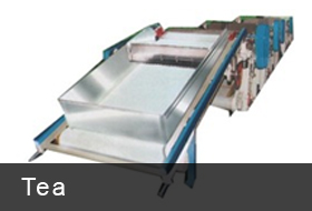 Tea Manufacturing